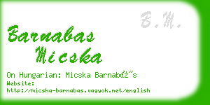 barnabas micska business card